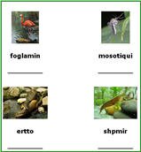 free printable pond animals letters activities,Pond animals theme alphabetical activities,pond animals lesson plan