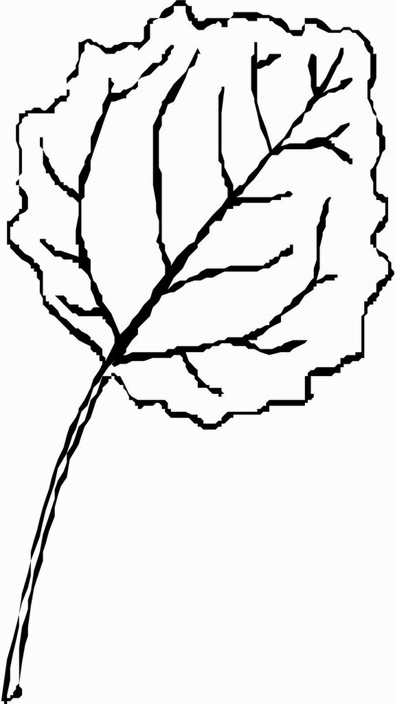 leaves kids plants coloring pages