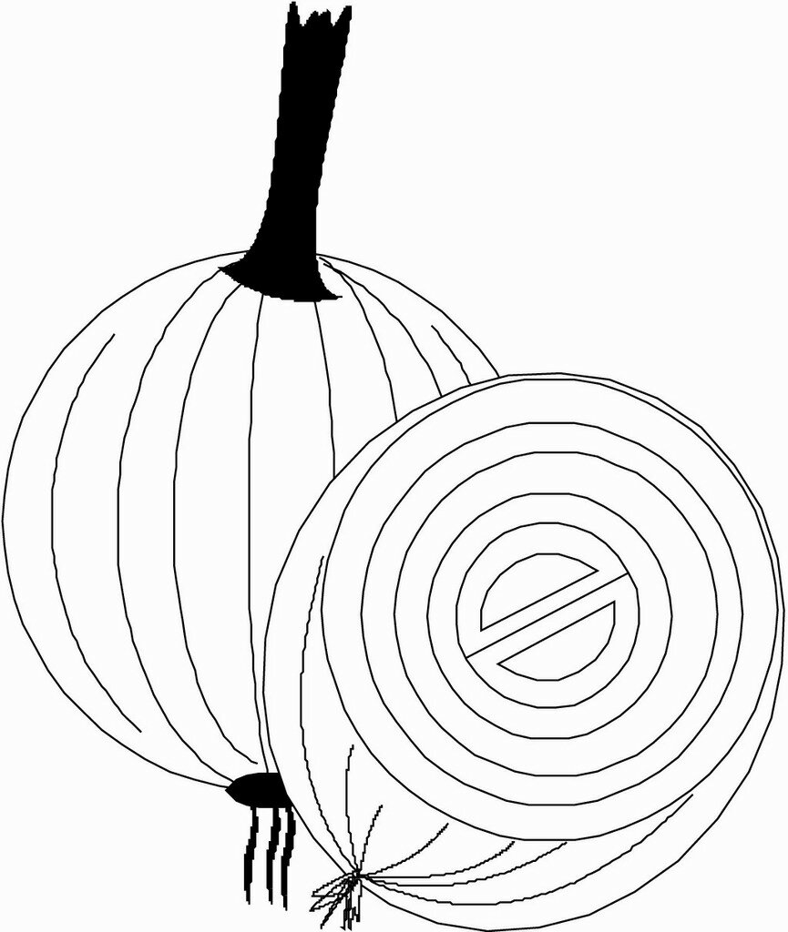onion plants coloring pages