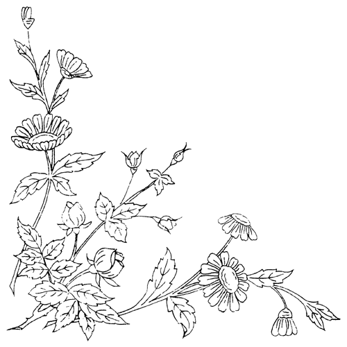 spring flowers coloring picture