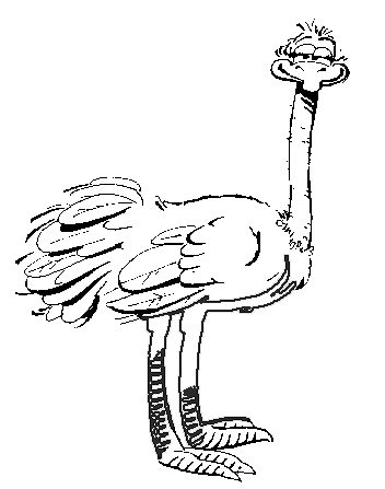 ostrich birds coloring page