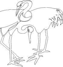 Two swans coloring page