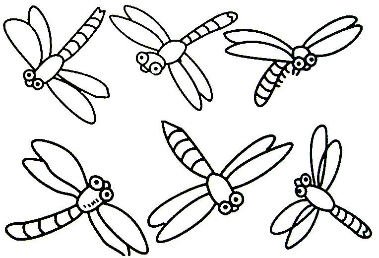 4 dragonflies insects coloring pictures
