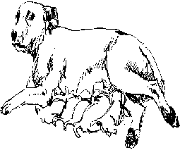 puppies with mom dog coloring page