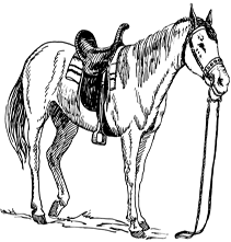 kids horse coloring pages