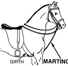 horse girth coloring page