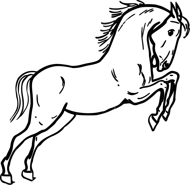 horse coloring picture