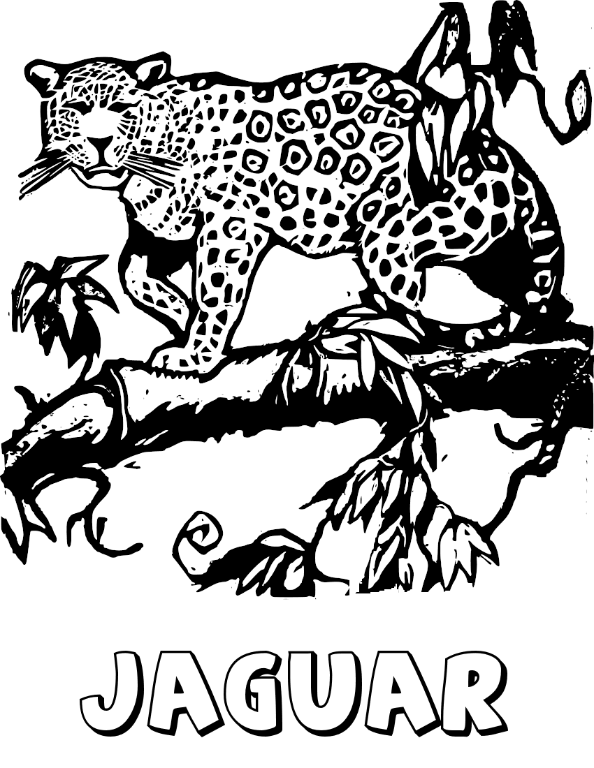 free printable jaguar coloring page for kids