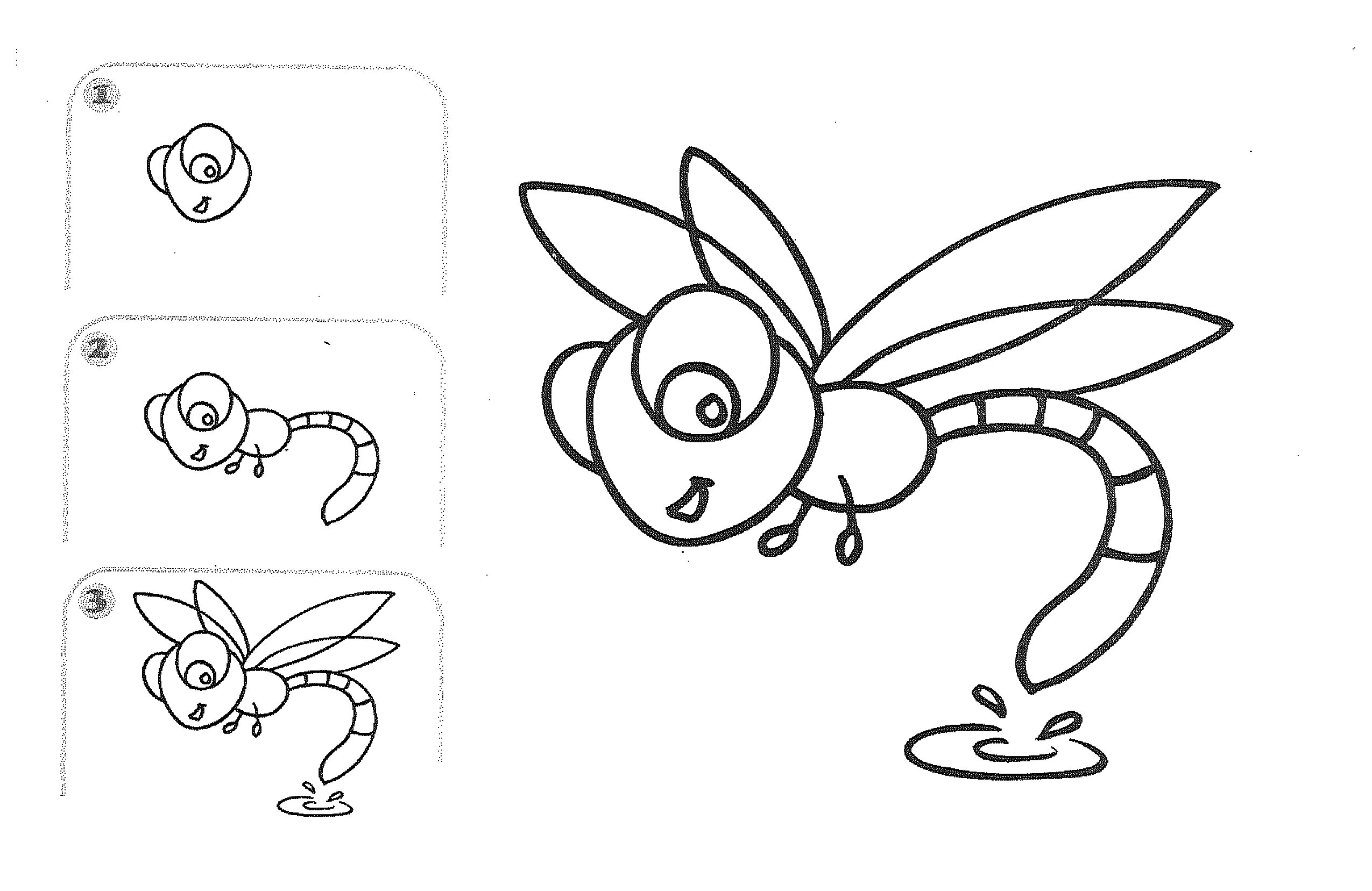 Free learn to draw cartoon insects drawing activities