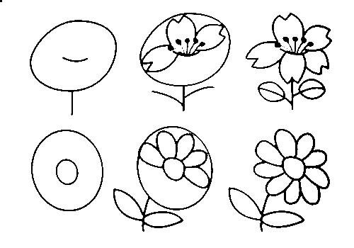 step by step teach you how to draw flowers