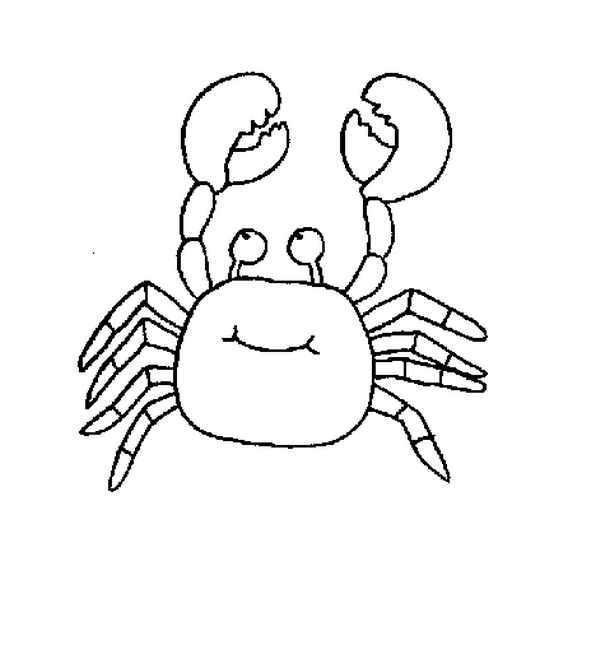 crab coloring picture