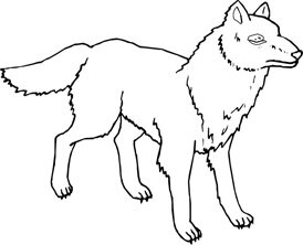 wolf coloring picture