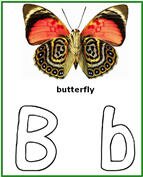 butterfly life cycle reading worksheets, kids butterfly life cycle lesson plans, butterfly coloring pages, butterfly crafts and drawing arts activities
