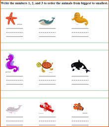 comparing sizes of ocean animals