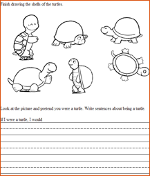 turtle drawing and writing activity sheet