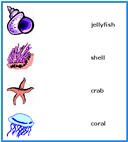 sea animals kids learning activities, ocean animals matching game cards