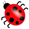 cute ladybug pictures patterns games