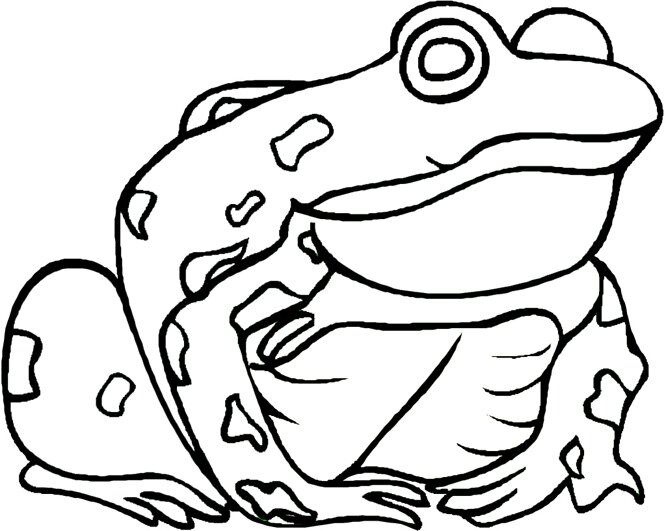 Free printable preschool coloring pages, frogs and fish coloring pages activities