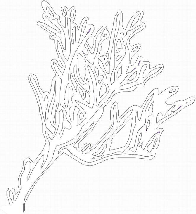 sea animals kids coloring book, ocean animals coloring picture