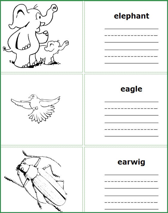 preschool Read, write, and color worksheets for letter e words, kids learning resources
