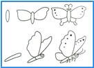 step by step learn to draw butterfly coloring picture