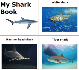 sharks mini book