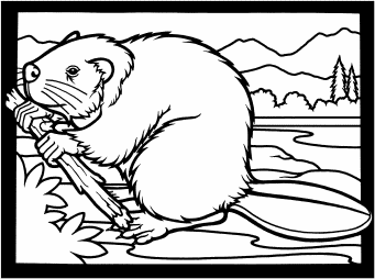 bear cubs and beaver kids coloring pictures, free printable children's coloring activities