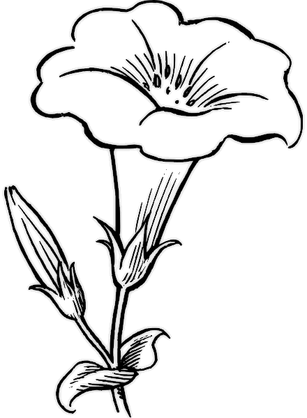 Children's flower coloring picture